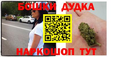 крисы Ставрополь