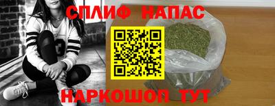 крисы Ставрополь