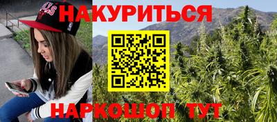 крисы Ставрополь