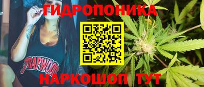 крисы Ставрополь