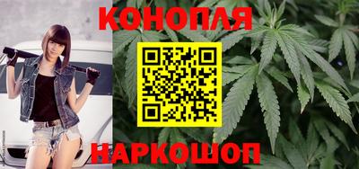 крисы Ставрополь