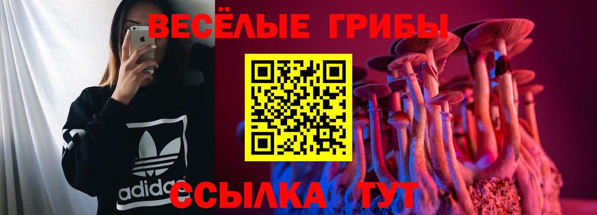 Галлюциногенные грибы ЛСД Асбест